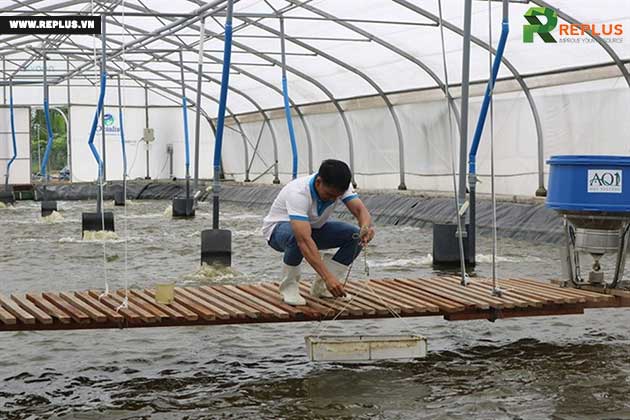 Kinh doanh nông nghiệp: 33 ngành nghề có điều kiện cần biết 2 nuôi-trồng-thủy-sản-công-nghệ-cao