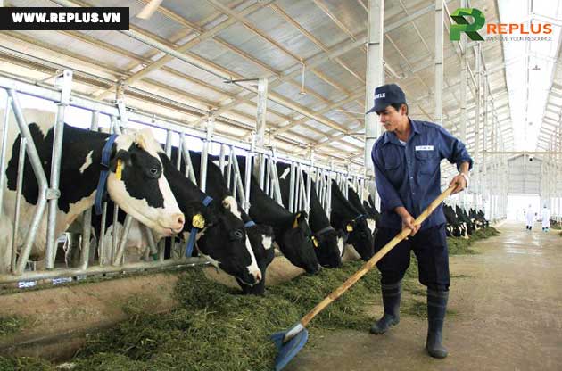 Kinh doanh nông nghiệp: 33 ngành nghề có điều kiện cần biết 4 vệ-sinh-ngành-thú-y