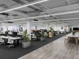 Văn phòng trọn gói Quận 1 – Giải pháp tối ưu chi phí & hình ảnh cho doanh nghiệp hiện đại 1 Văn phòng trọn gói Quận 1 – Giải pháp tối ưu chi phí & hình ảnh cho doanh nghiệp hiện đại