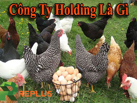 thanh lap cong ty holding