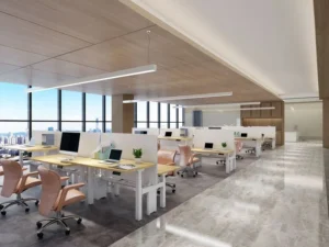 Coworking Space Đồng Nai có hợp pháp không?