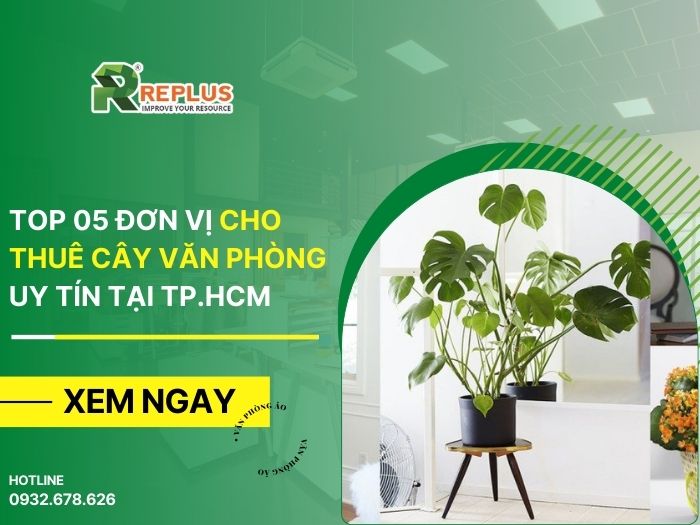 Top 05 đơn vị cho thuê cây văn phòng uy tín tại TP.HCM