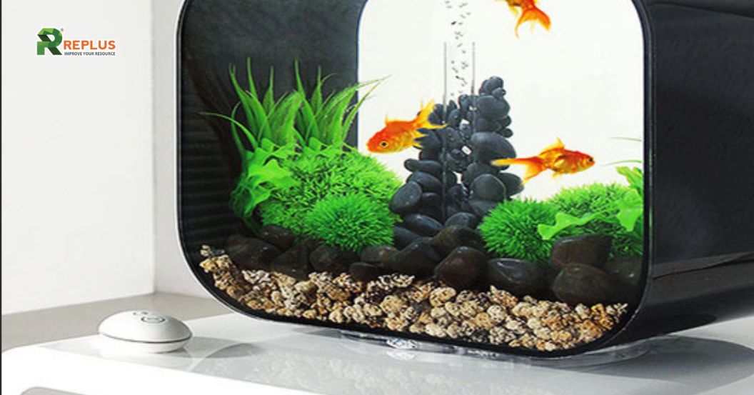 bể cá mini để bàn