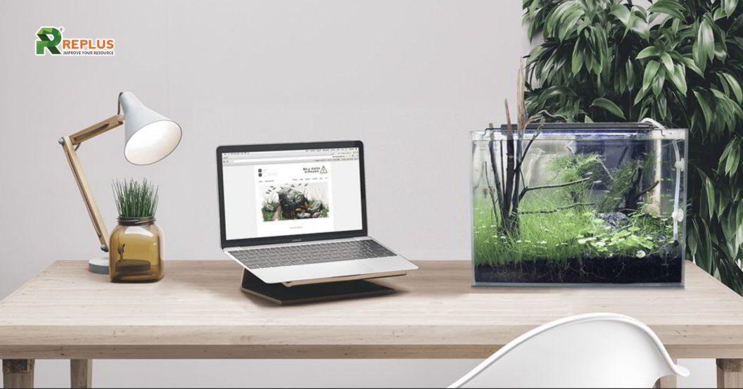 trang trí góc làm việc với bể cá