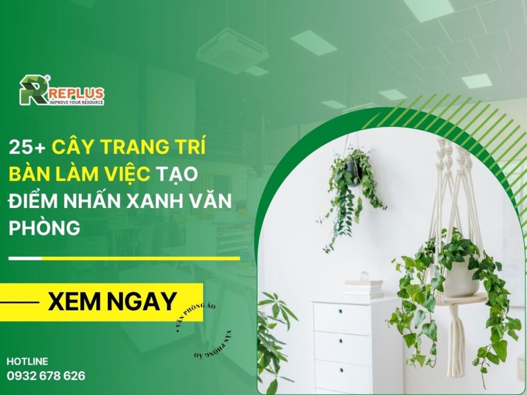 25+ cây trang trí bàn làm việc tạo điểm nhấn xanh văn phòng