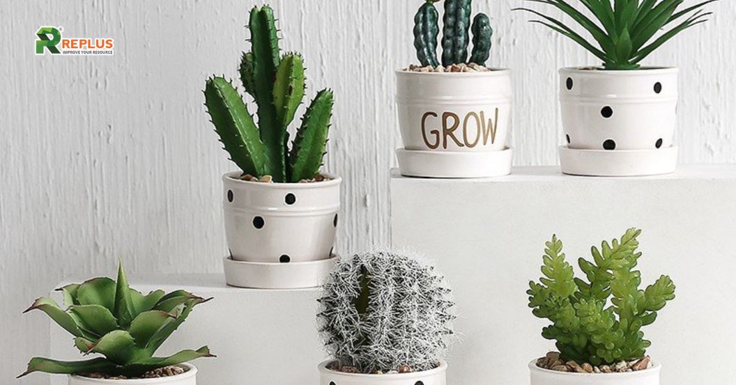 Trang trí với cây xanh