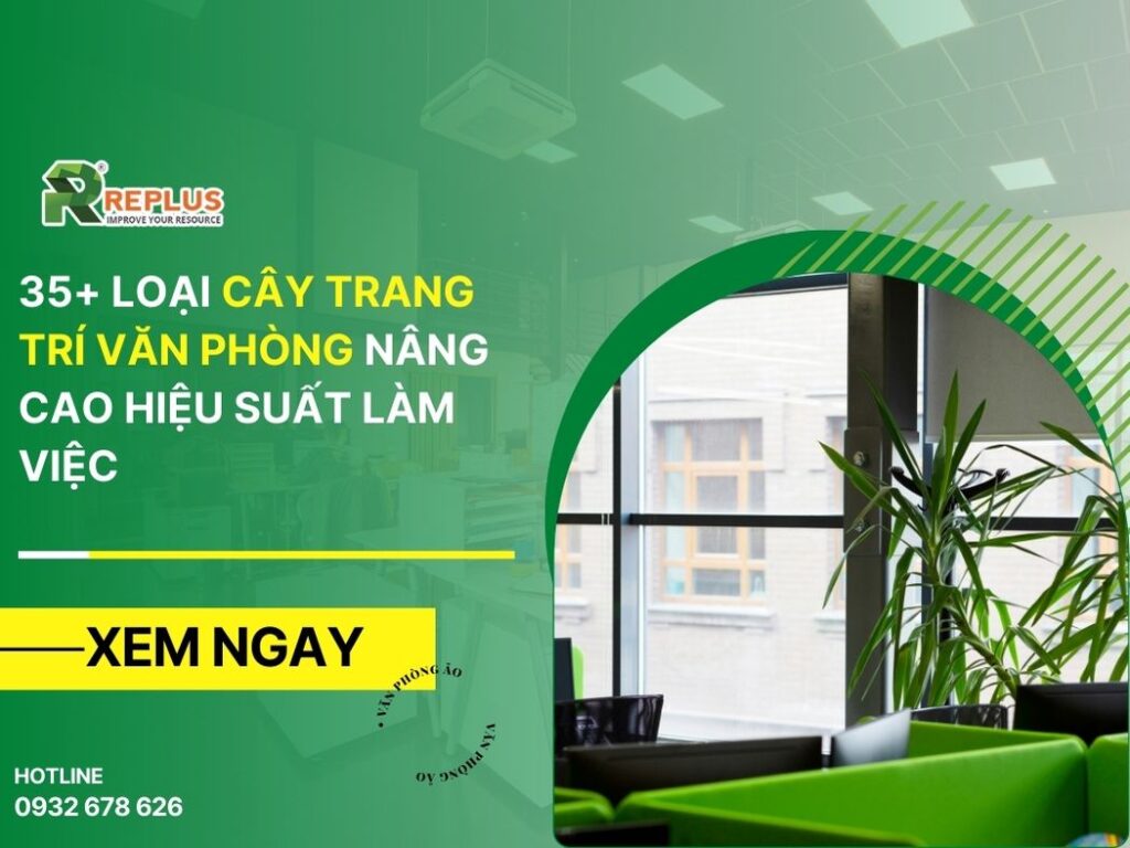 35+ loại cây trang trí văn phòng nâng cao hiệu suất làm việc