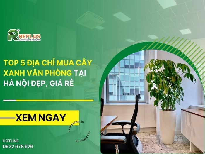 Top 5 địa chỉ mua cây xanh văn phòng tại Hà Nội đẹp, giá rẻ