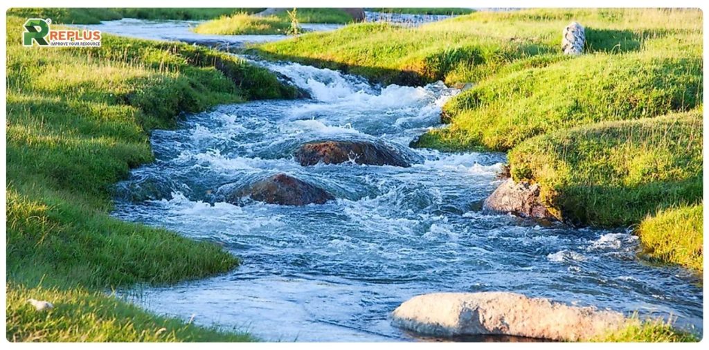 Đinh Sửu 1997 mệnh gì, hợp tuổi nào và lưu ý năm 2026