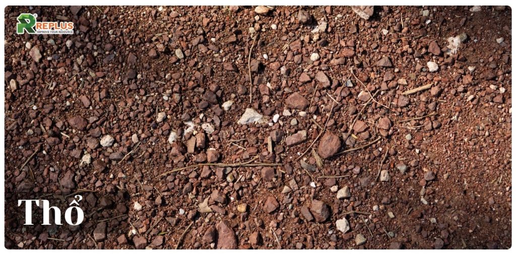 Bính Tuất 2006 mệnh gì, con số phong thủy và lưu ý năm 2026