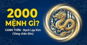 Những lưu ý quan trọng dành cho tuổi Canh Thìn trong năm 2026