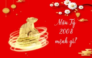 2008 cần lưu ý điều gì trong năm 2026