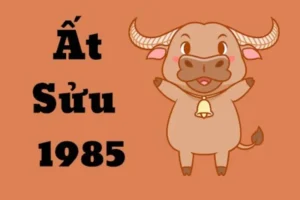 Người sinh năm Ất Sửu 1985 cần lưu ý điều gì trong năm 2026?