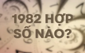 Sinh năm 1982 mệnh gì? Tuổi Nhâm Tuất hợp màu, số và hướng nào? 4 Sinh năm 1982 hợp số nào