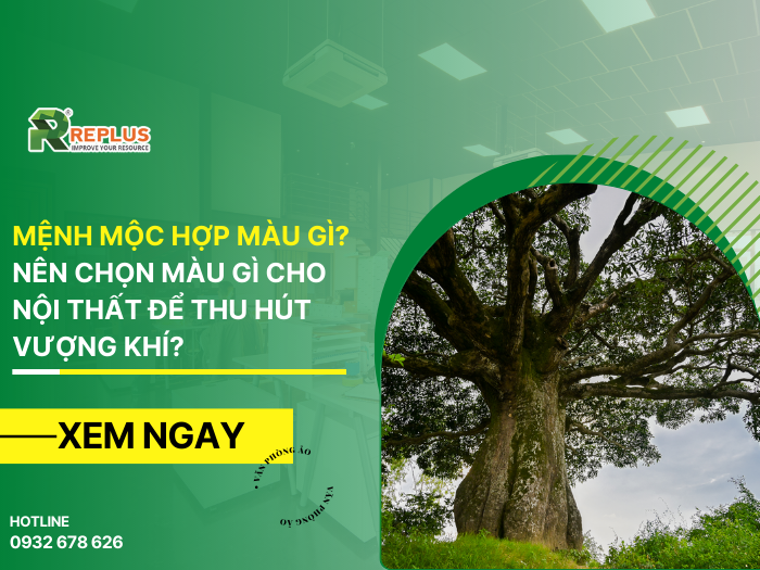Mệnh Mộc hợp màu gì? Nên chọn màu gì để thu hút vượng khí?