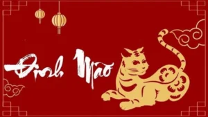 Con số may mắn cho tuổi Đinh Mão năm 2026