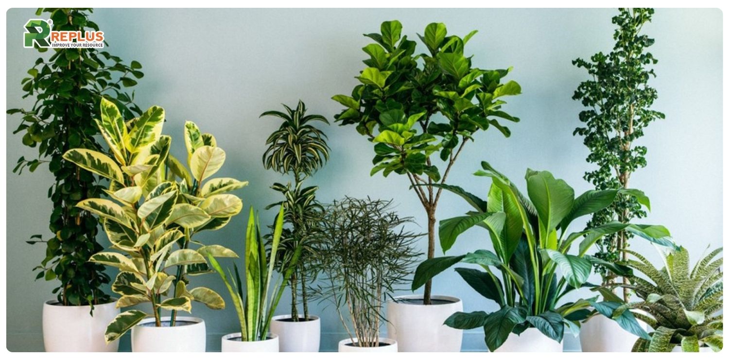 mệnh kim hợp mệnh gì