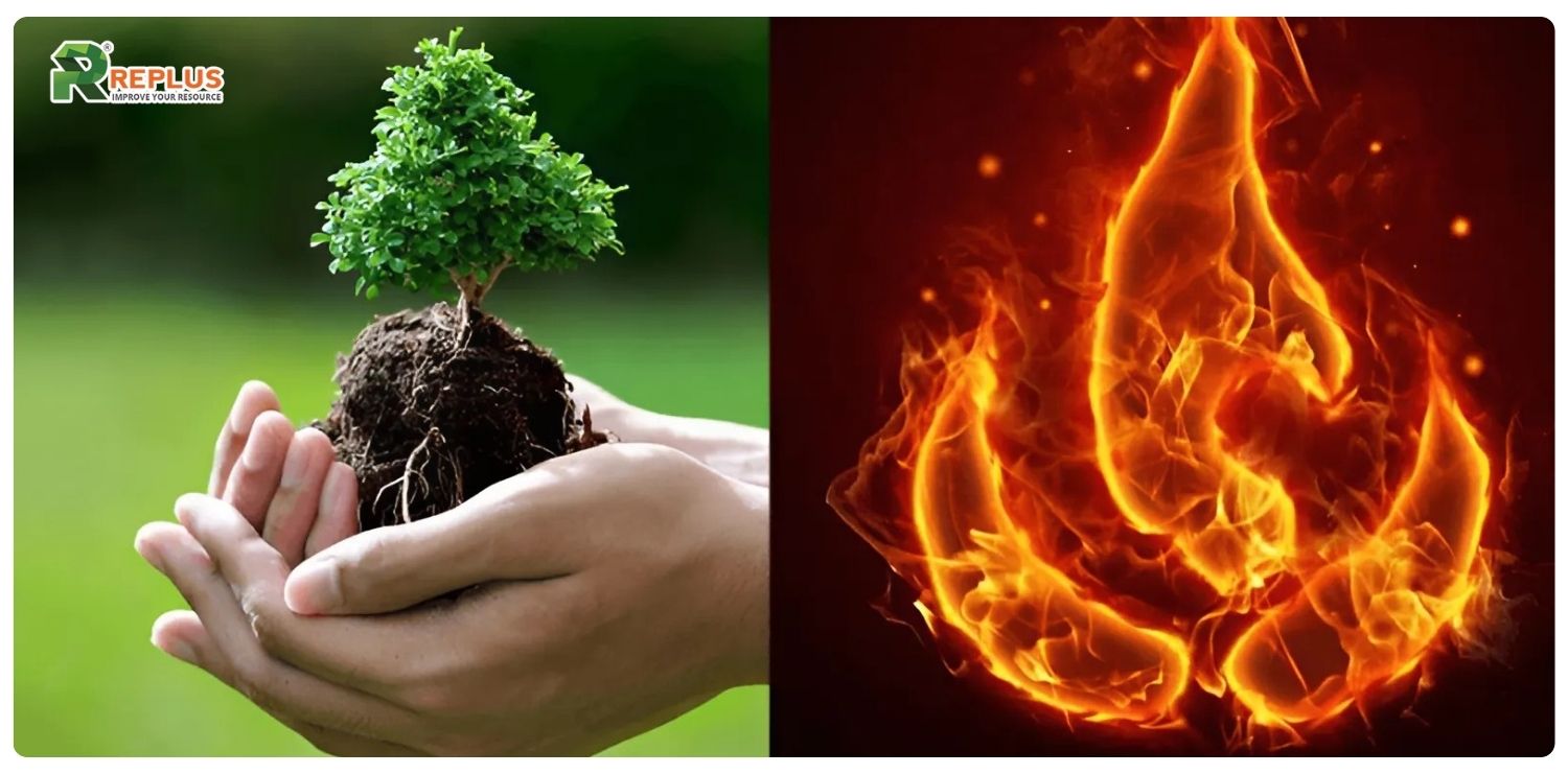 Mệnh Mộc hợp mệnh gì? Cách chọn người hợp mệnh cực chuẩn 8 Mệnh Mộc hợp mệnh gì?