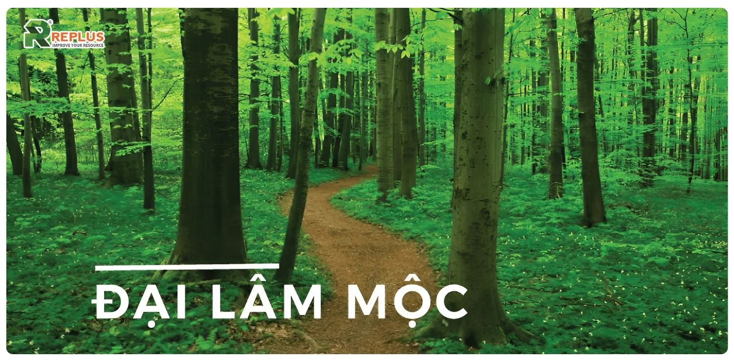 Mệnh Mộc hợp mệnh gì? Cách chọn người hợp mệnh cực chuẩn 1 mệnh mộc hợp mệnh gì