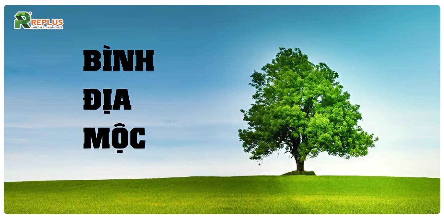 Mệnh Mộc hợp mệnh gì? Cách chọn người hợp mệnh cực chuẩn 3 Bình Địa Mộc