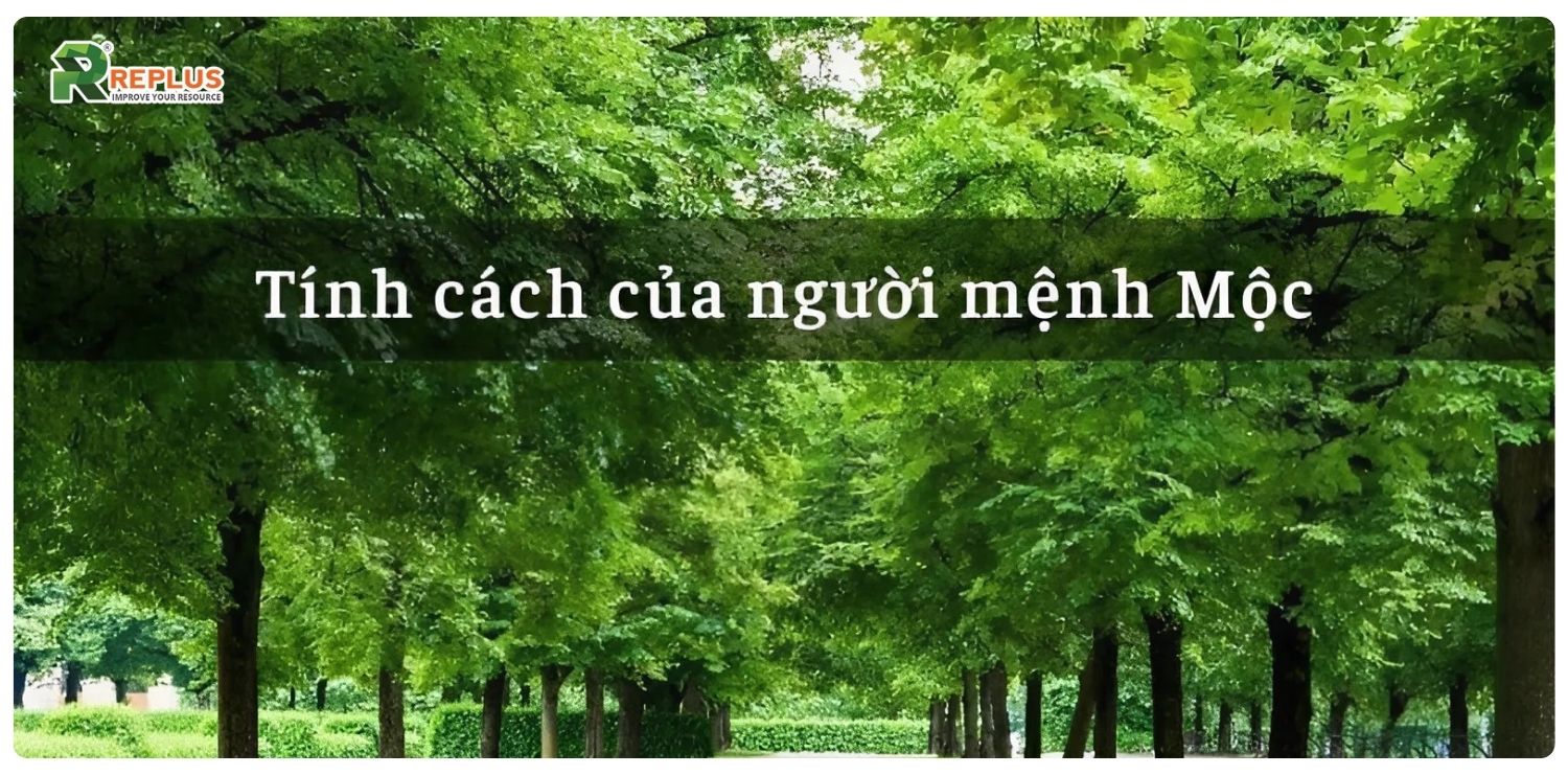 Mệnh Mộc hợp mệnh gì? Cách chọn người hợp mệnh cực chuẩn 6 Tính cách đặc trưng của người mệnh Mộc
