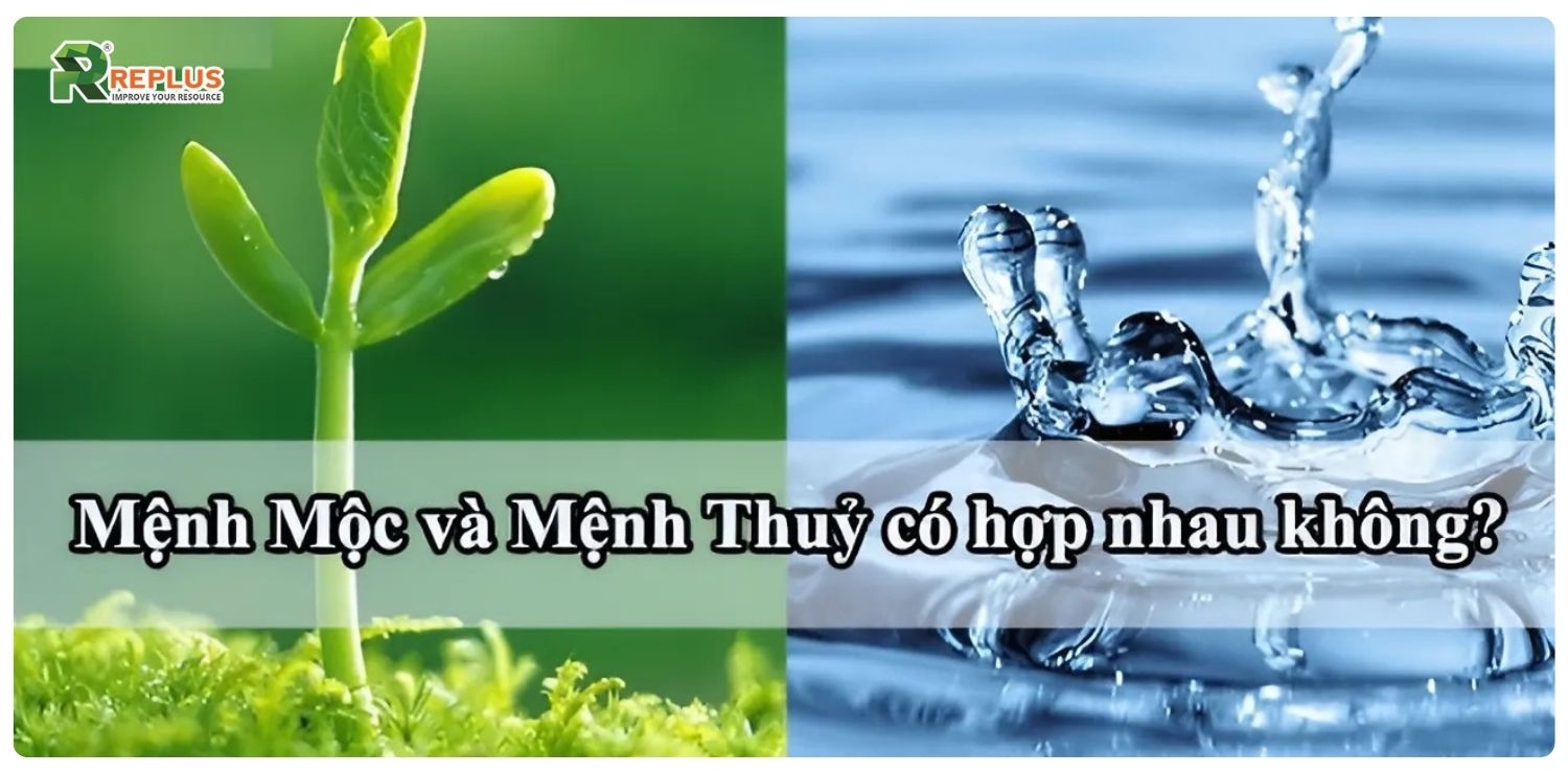 Mệnh Mộc hợp mệnh gì? Cách chọn người hợp mệnh cực chuẩn 7 Mệnh Mộc hợp mệnh gì?