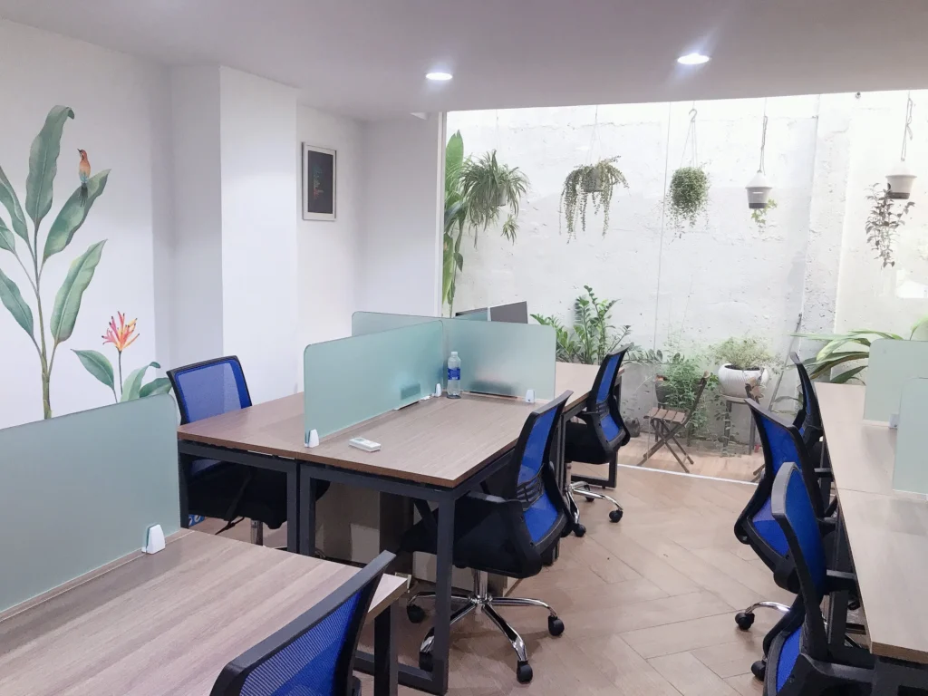 Cách Mạng Tháng Tám, Tân Bình, TP.HCM