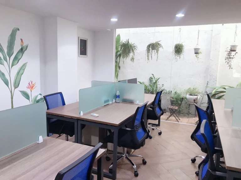 Cách Mạng Tháng Tám, Tân Bình, TP.HCM