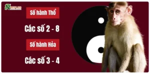 2028 mệnh gì? Giải mã vận mệnh Mậu Thân 2028 theo phong thủy 6 Số hợp mệnh cho Mậu Thân 2028