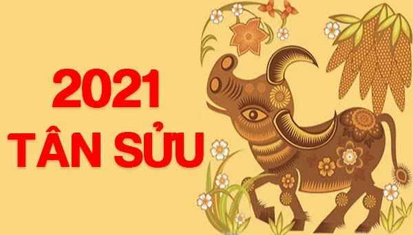 2021 mệnh gì? Tổng quan tử vi tuổi Tân Sửu và ứng dụng phong thủy 2026