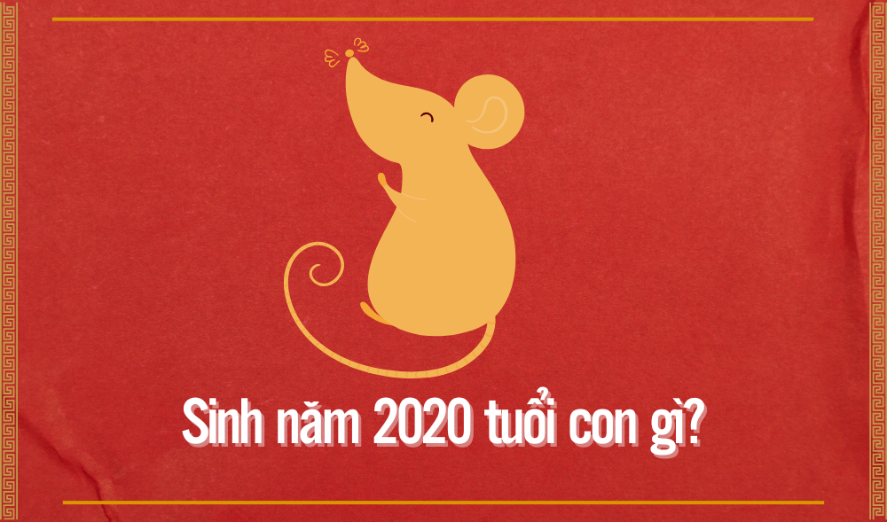 2020 mệnh gì? Tổng quan tử vi tuổi Canh Tý và ứng dụng phong thủy 2026
