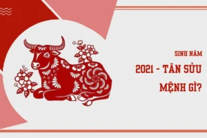 2021 mệnh gì