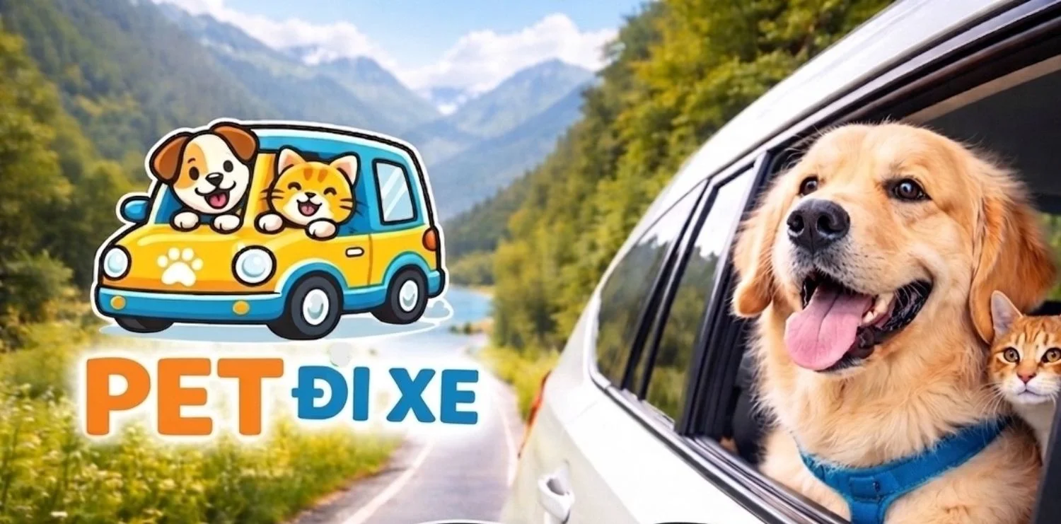 Pet Đi Xe