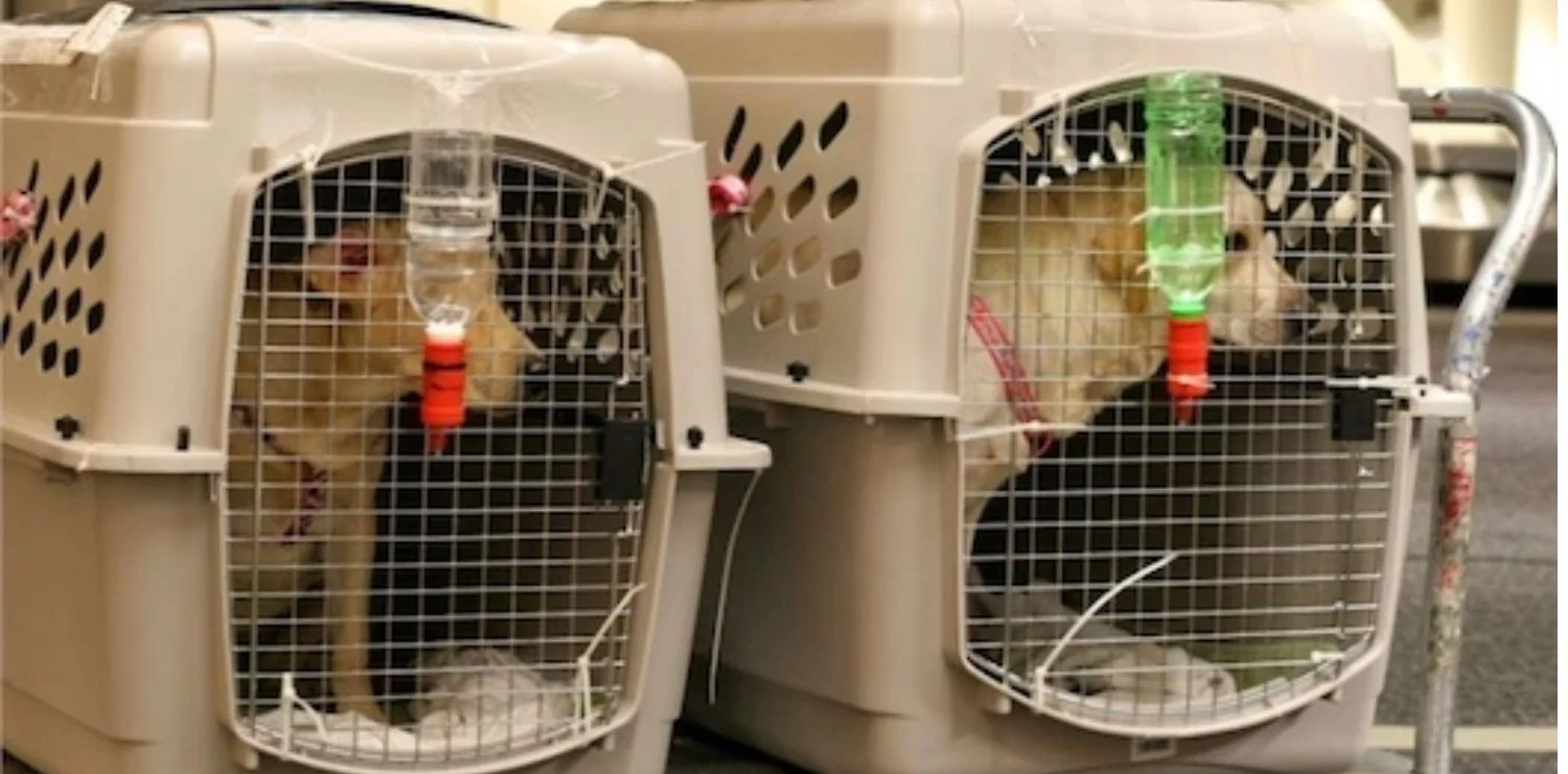 Đường sắt Bắc - Nam