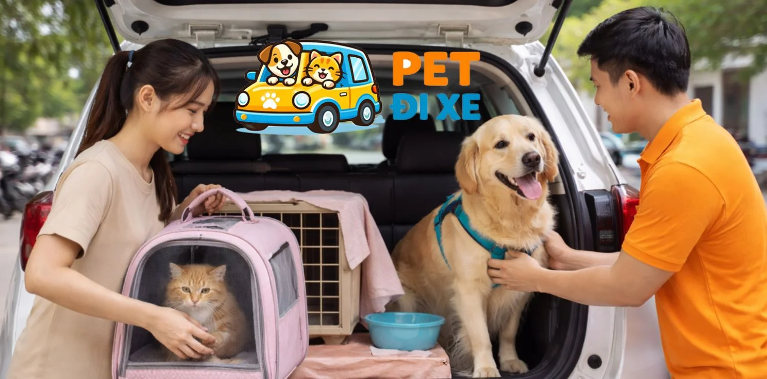dịch vụ vận chuyển thú cưng chó mèo uy tín