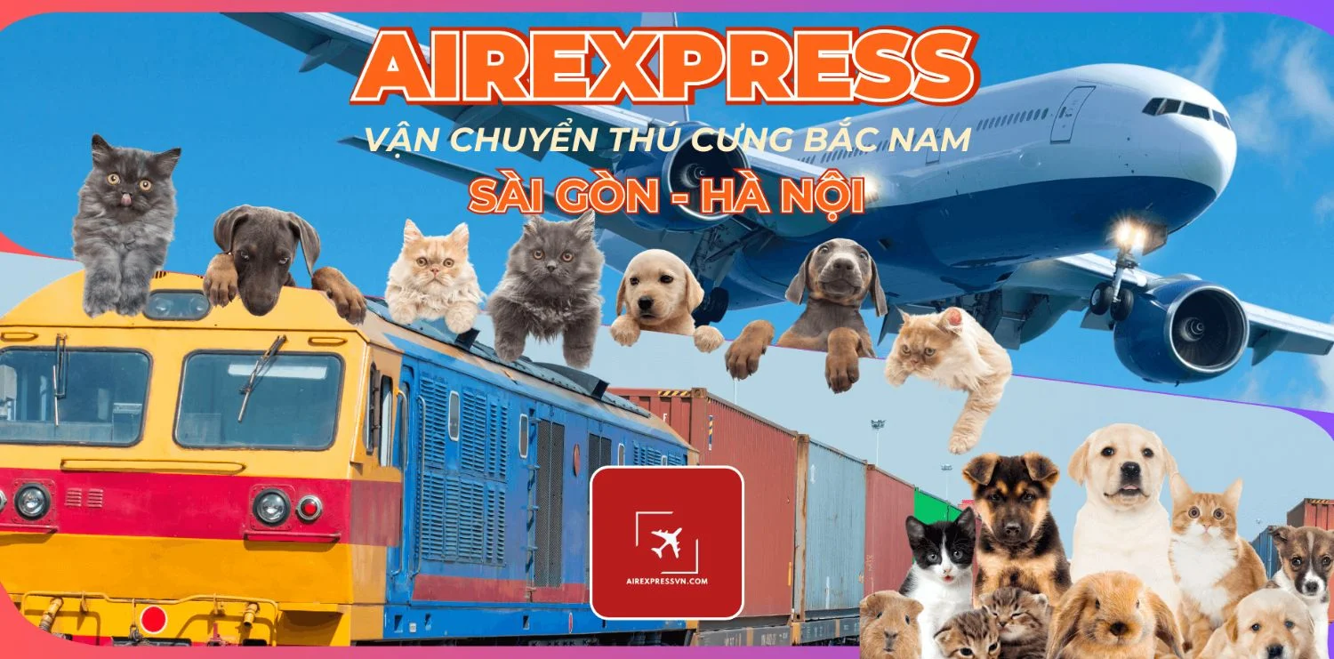 dịch vụ vận chuyển thú cưng chó mèo bằng tàu hoả