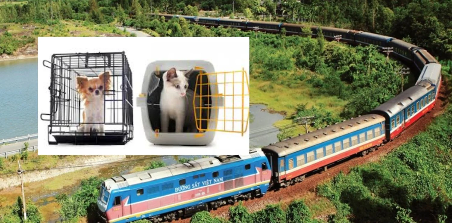 dịch vụ vận chuyển thú cưng chó mèo bằng tàu hoả