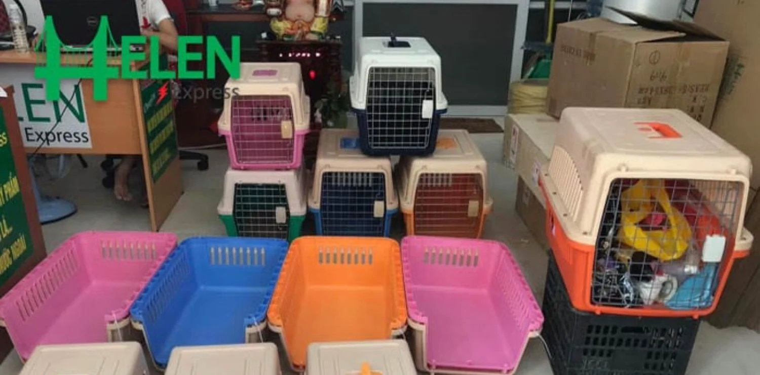 vận chuyển thú cưng chó mèo TPHCM