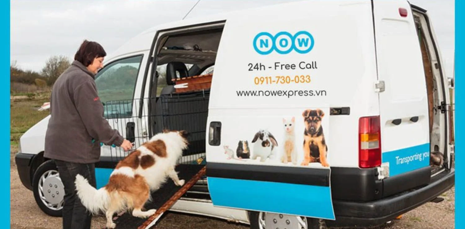 vận chuyển thú cưng chó mèo TPHCM