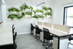 So sánh các gói Coworking Space: Vãng lai, Linh hoạt hay Cố định? 2 Ai nên chọn gói Coworking Space Vãng lai