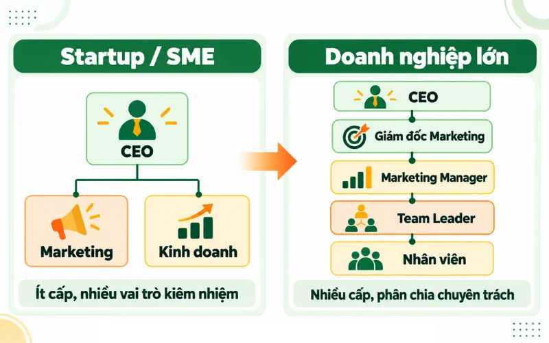 Các chức vụ trong công ty: Thứ tự cấp bậc và vai trò 6 Cơ cấu chức vụ trong doanh nghiệp